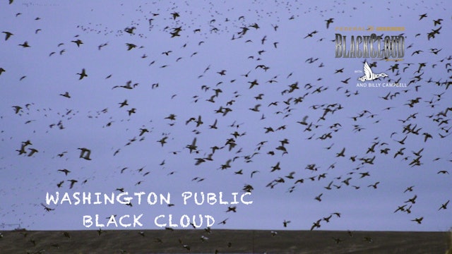 Washington Public-Land Duck Hunting