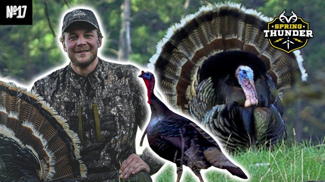 A First Merriam's Wild Turkey | 7J Outfitters in Wyoming | Spring Thunder