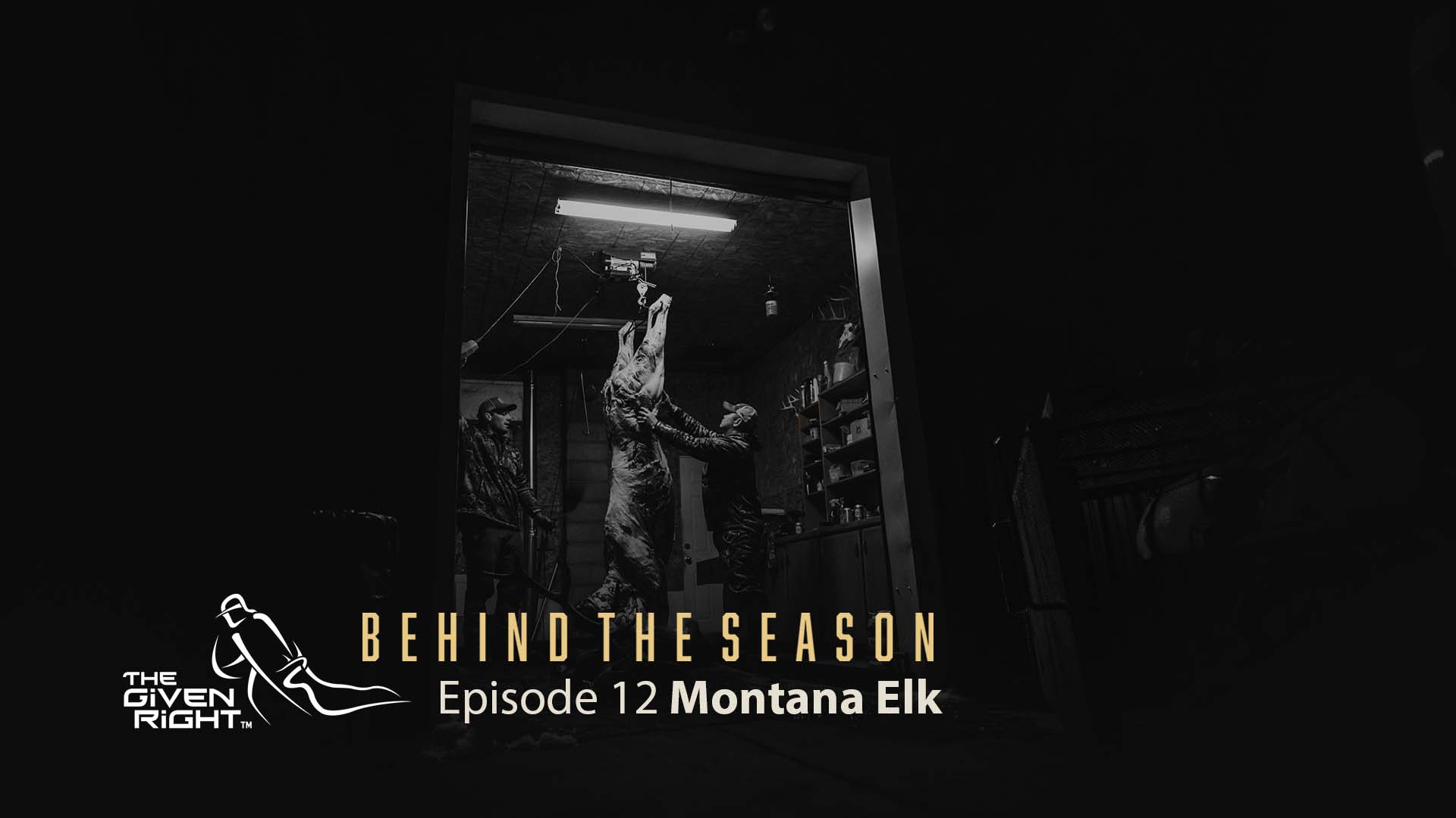 Montana Elk with a Bow | Behind the Season | The Given Right