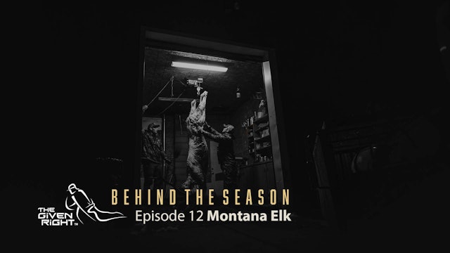 Montana Elk with a Bow | Behind the Season | The Given Right