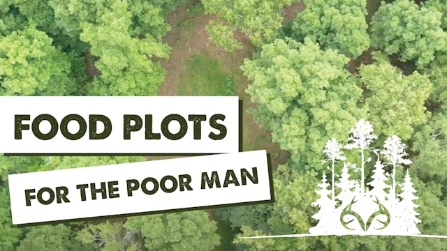 Creating Poor Man Food Plots | Pay Dirt
