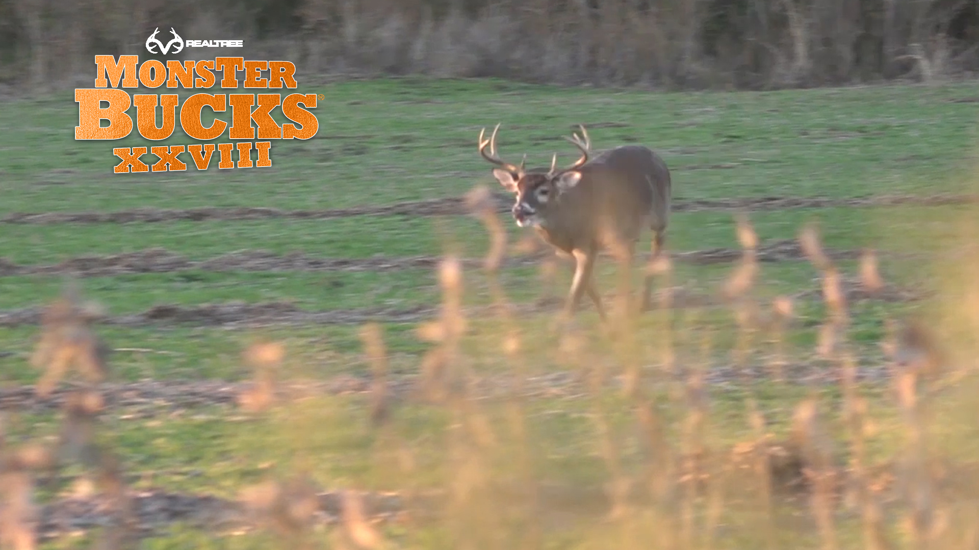 Slade Priest's Massive Louisiana Whitetail | Realtree's Monster Buck