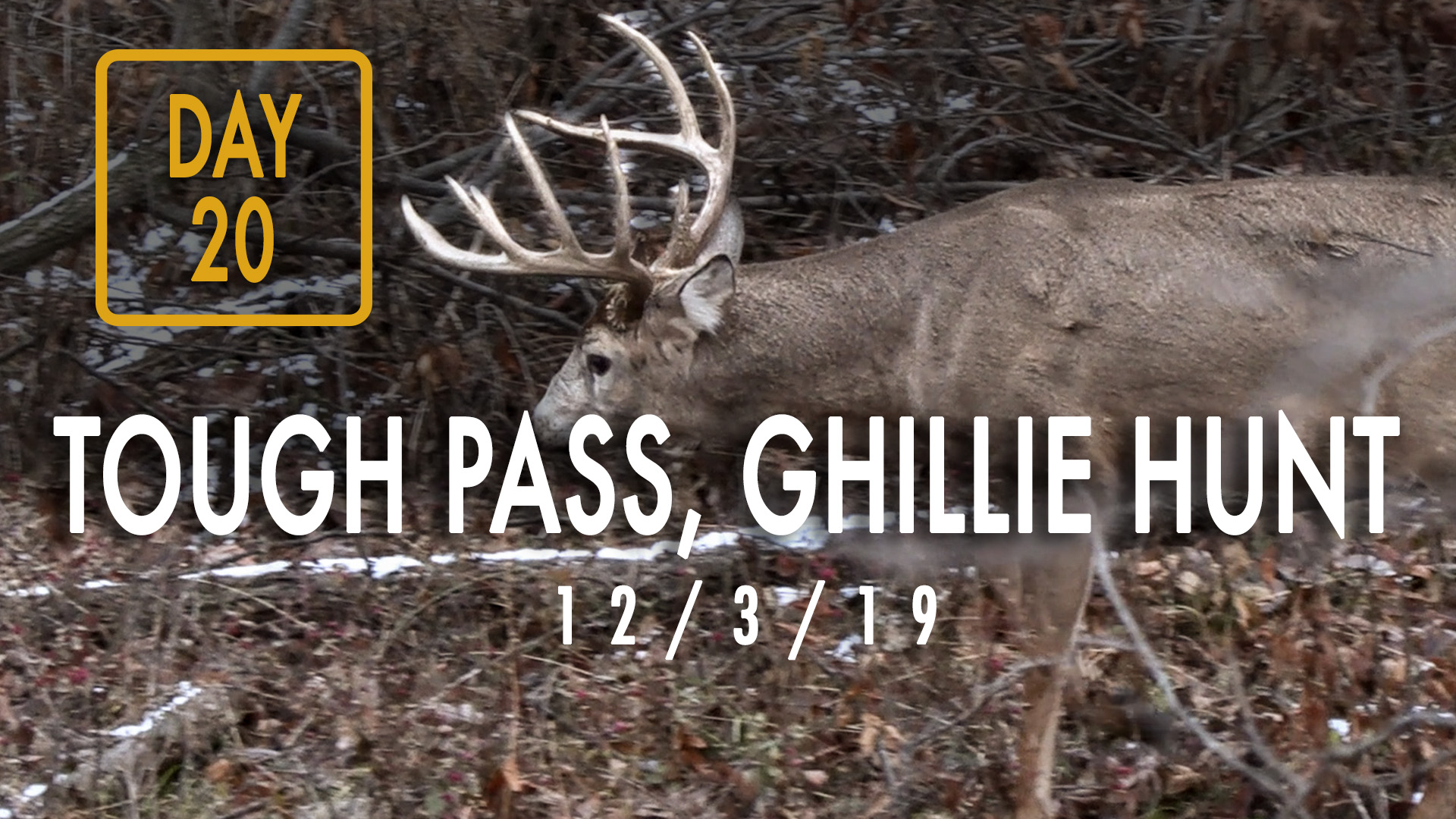 Jared Day 20: Tough Pass, Ghillie Hunt