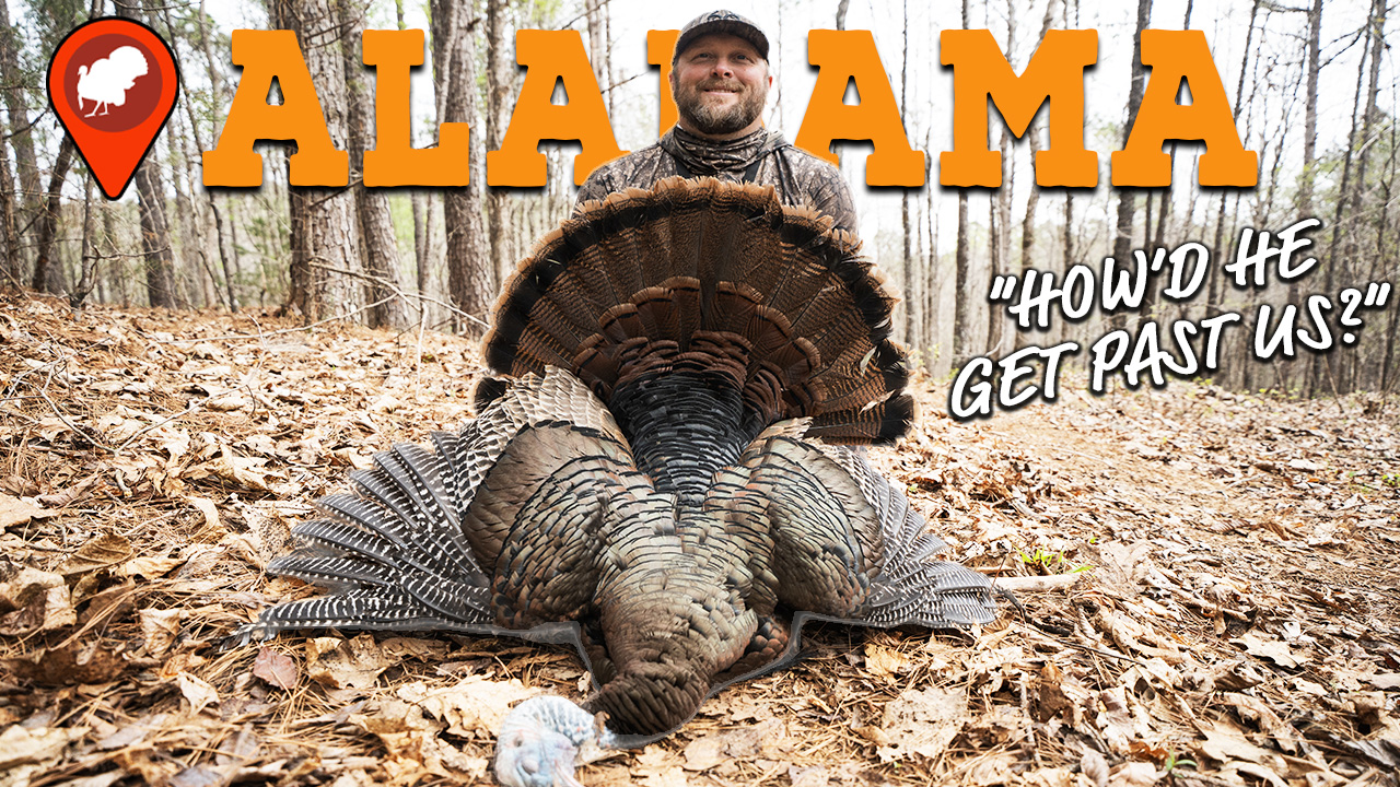 Alabama Opening Day 2026! This Turkey Was On FIRE!!