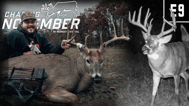 Rye's Biggest Bow Buck Ever | Pre-Rut Hunting Action | Chasing November