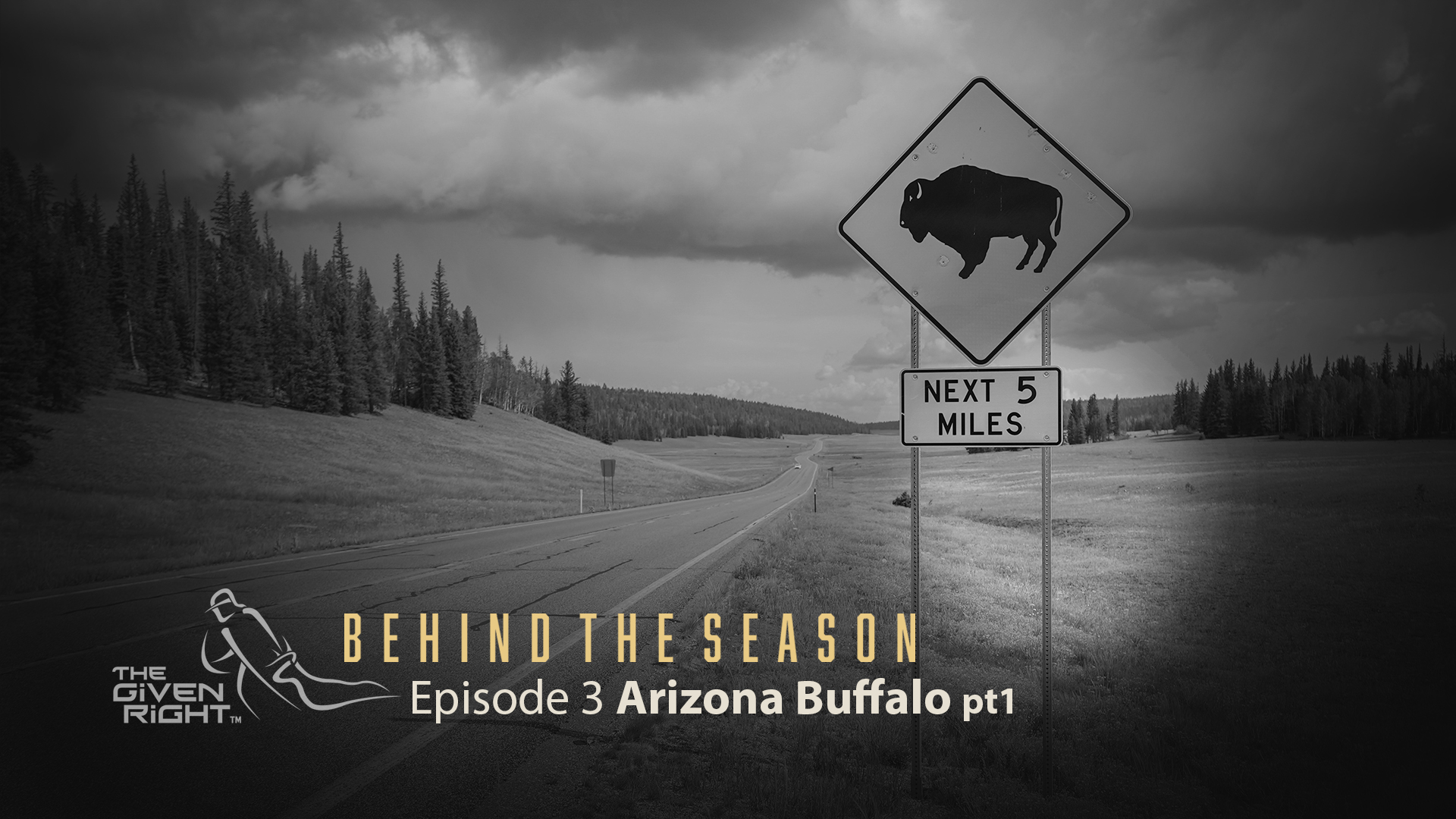 Hunting an Arizona Archery Buffalo | Behind the Season | The Given Right