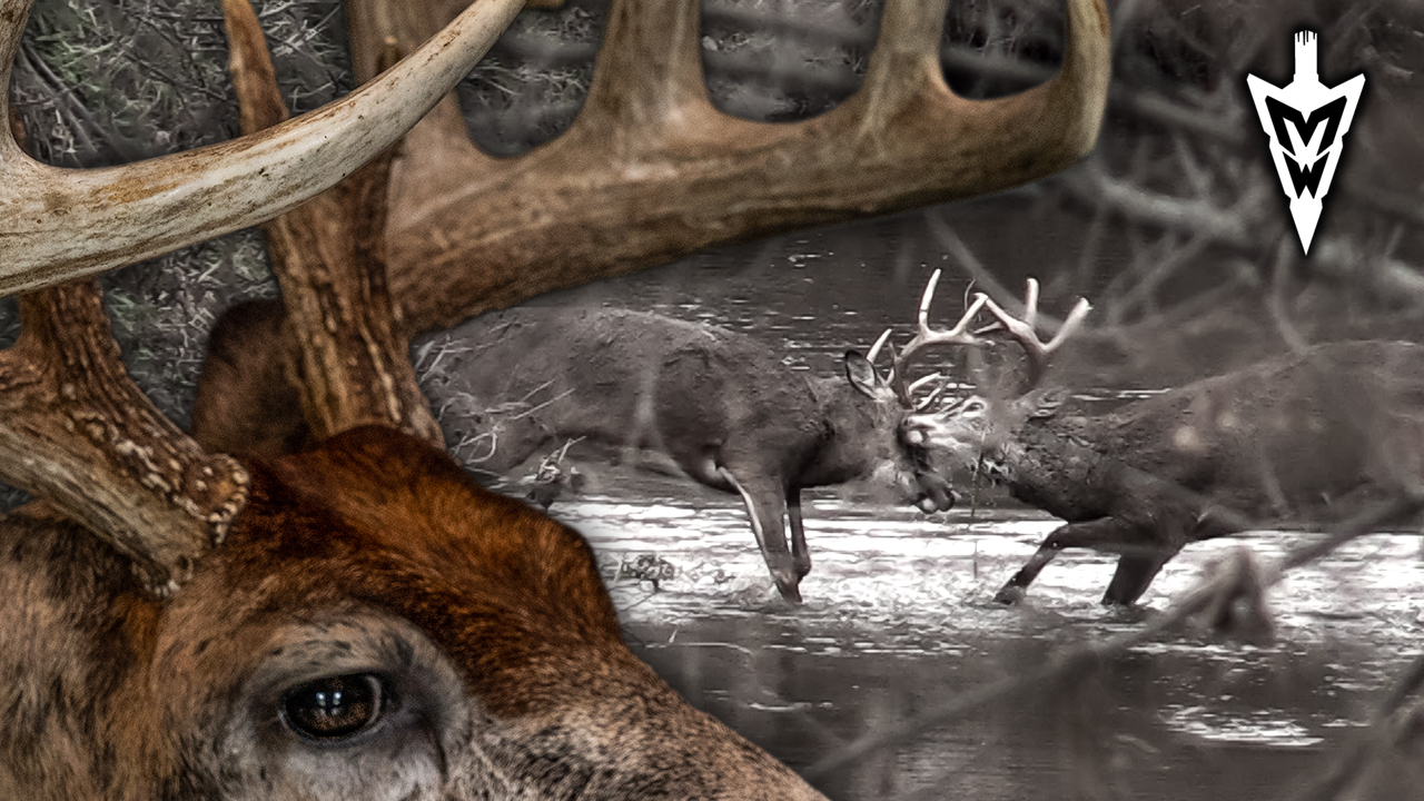 Reliving My Craziest Hunting Experience | Midwest Whitetail