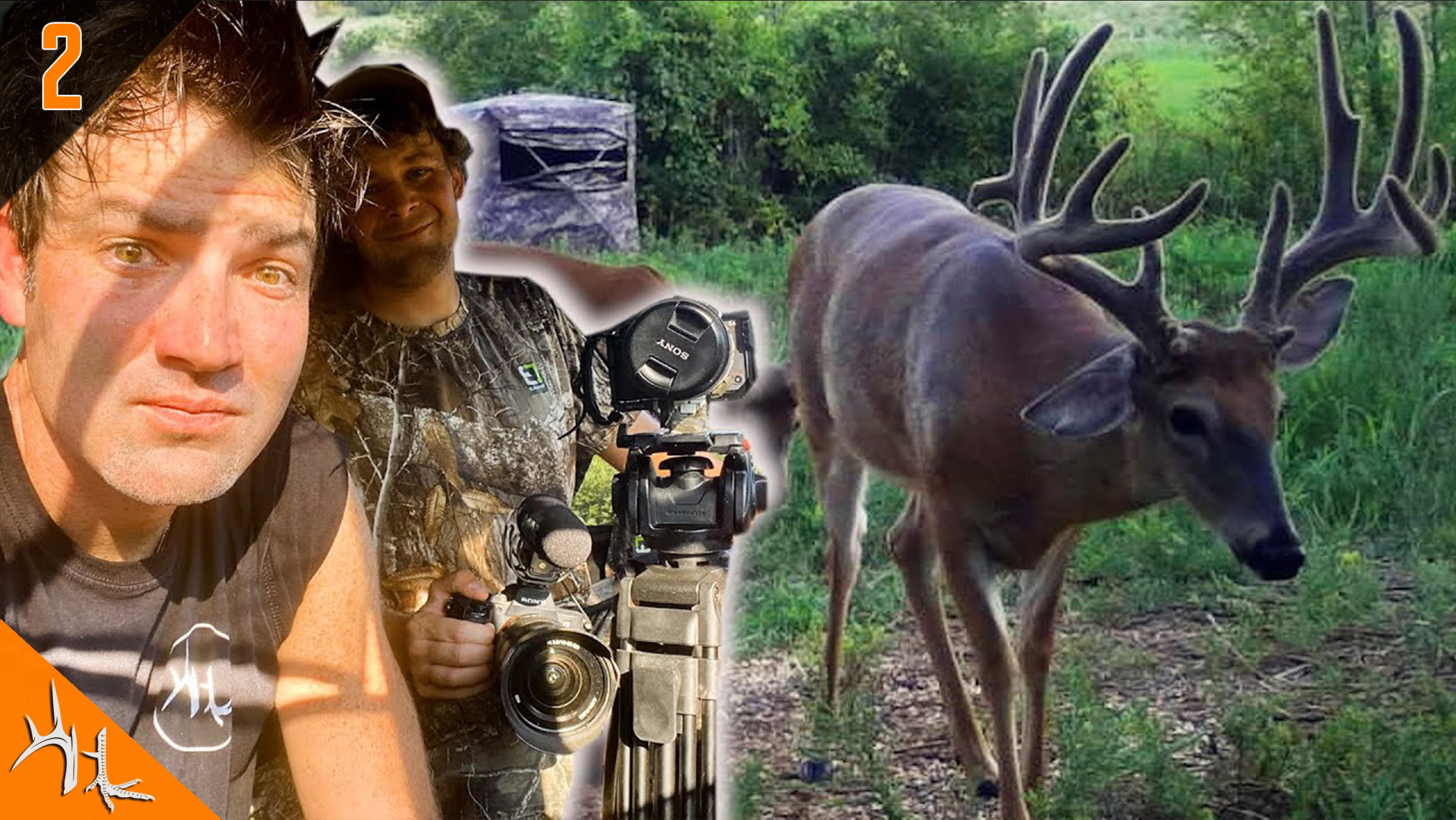 A Tennessee Giant | The Neighbor Got Him | Hunt Club