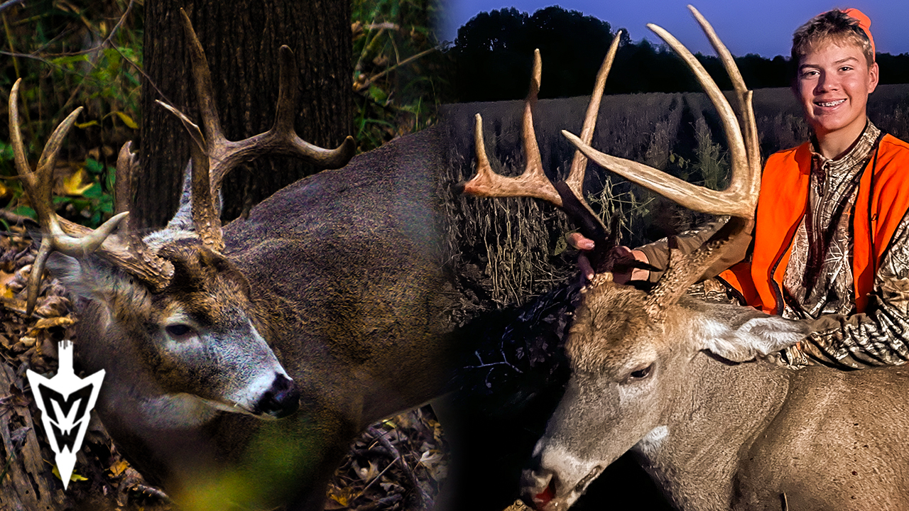 Hunting An Illinois Stud in October | Huge Update In Iowa | Midwest Whitetail