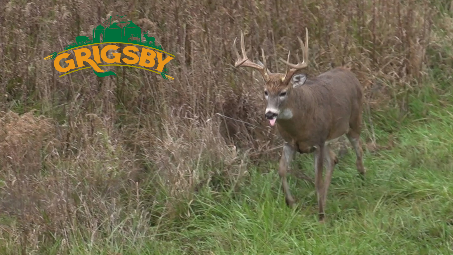 Grigsby Farm Setup | Jamie Satterfield's Monster Buck | Grigsby