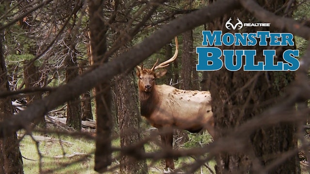 7 Days Of Hunting Finally Pays Off | Screaming New Mexico Bull