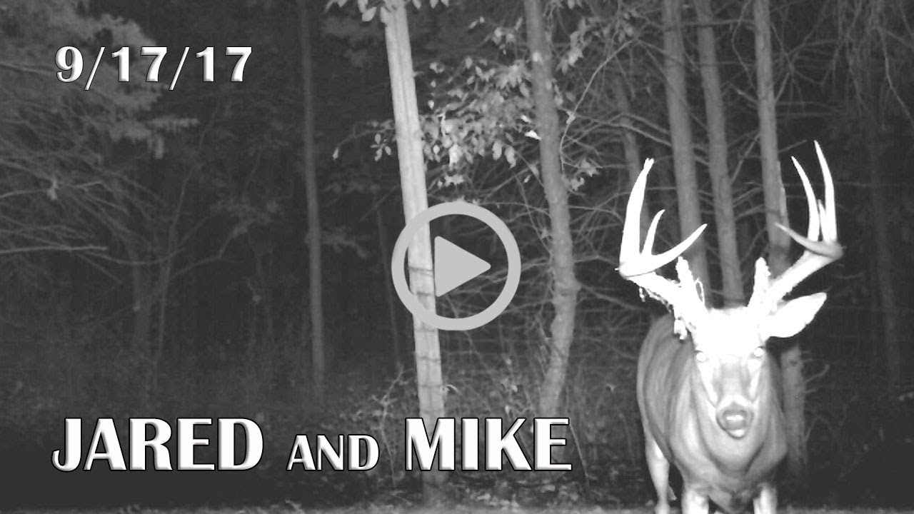 Jared's Blog: Urban Zone Hunting, Target Bucks