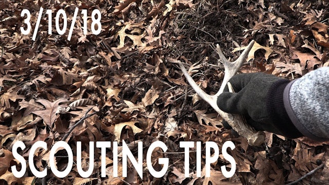 Winke's Blog: Direct Nut Seeding, Deer Browsing