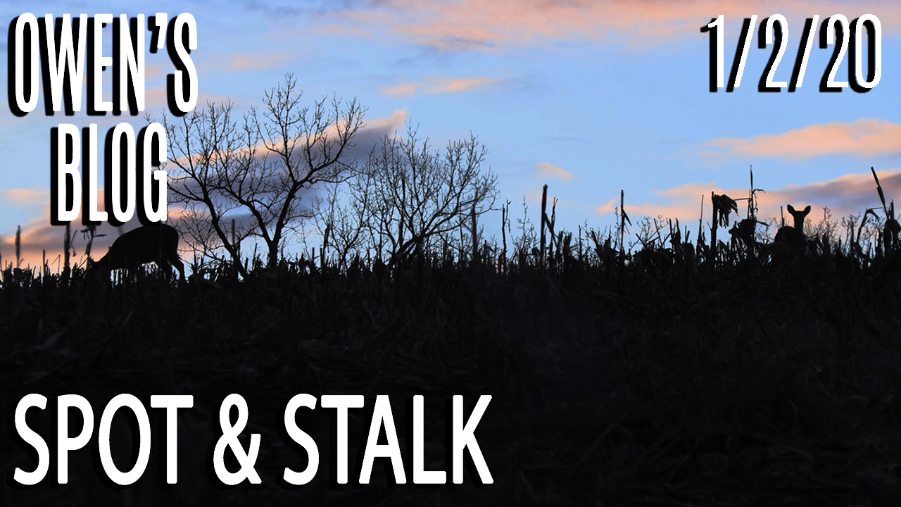 Owen's Blog: Spot & Stalk