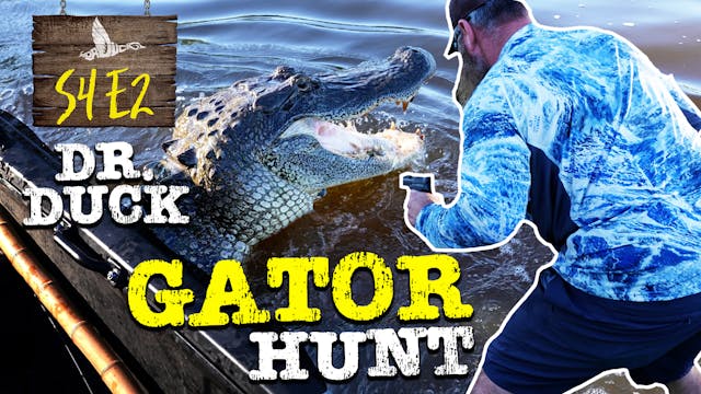 Dr. Duck Hunts Louisiana Gators | Dr....