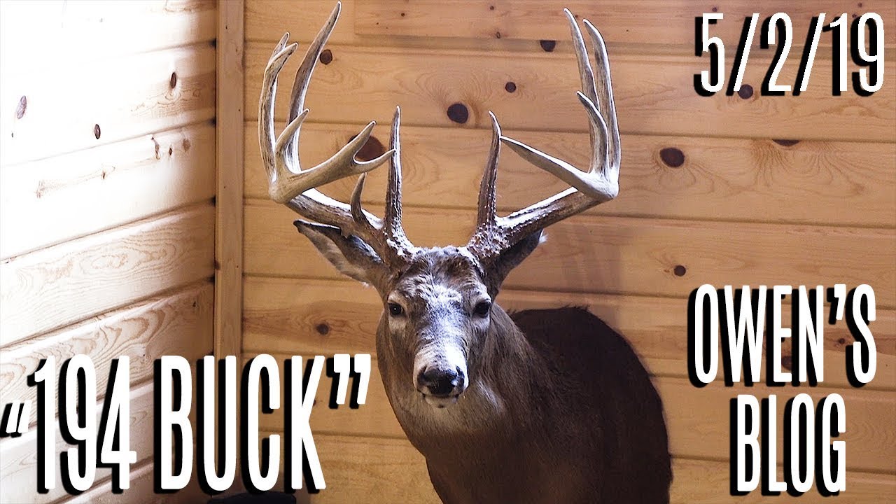 Owen's Blog: Story of the "194 Buck"
