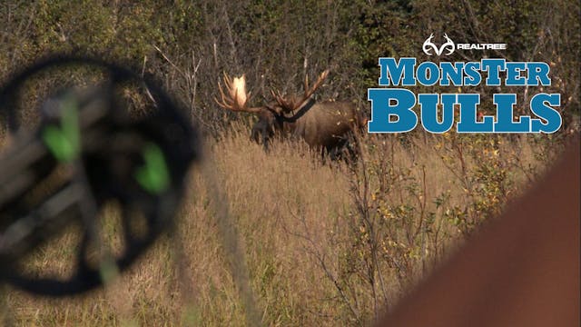 Unreal Alaskan Moose Hunt!