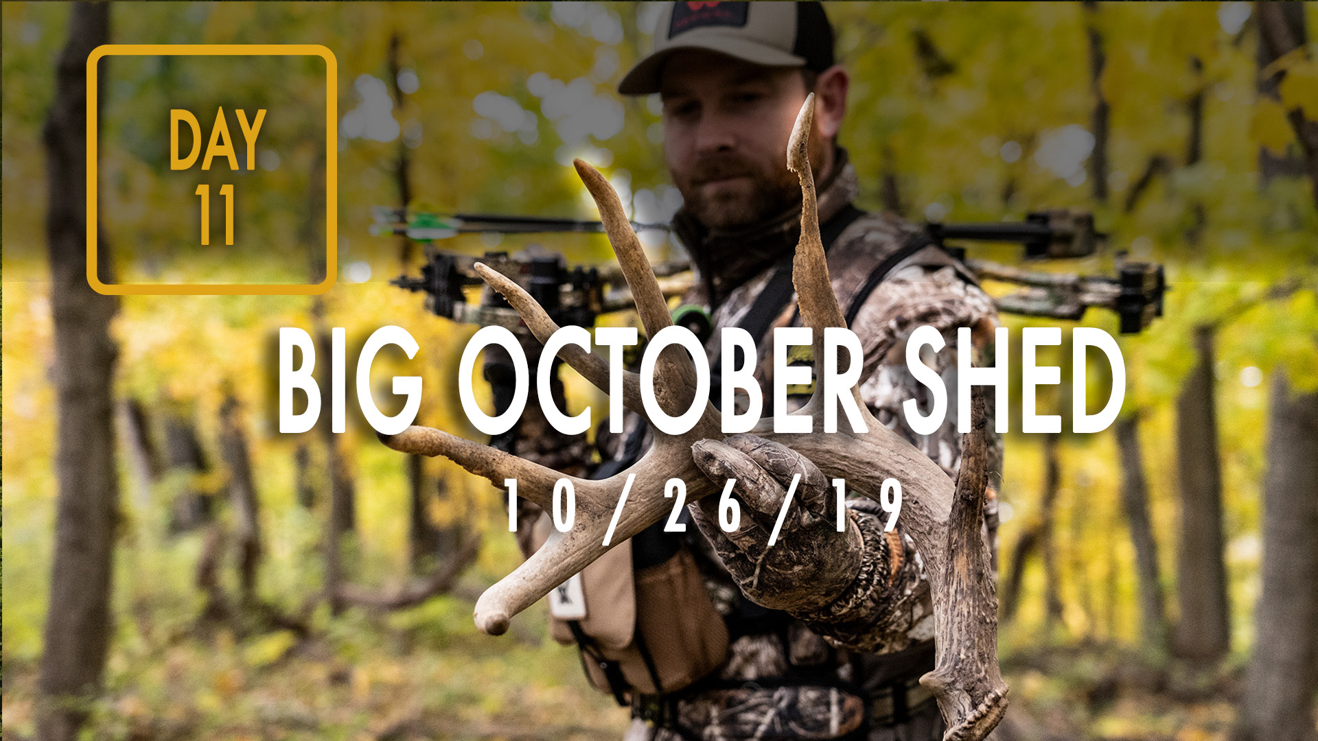 Jared Day 11: Big Shed On Project Farm, Bucks Showing Up