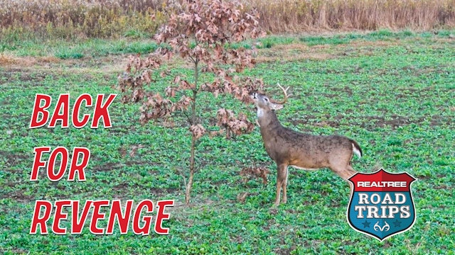 We're Back for Revenge | Bowhunting Illinois Monarchs | Realtree Road Trips