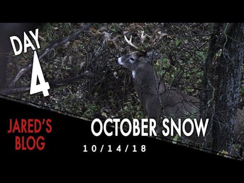 Jared's Blog: October Snow