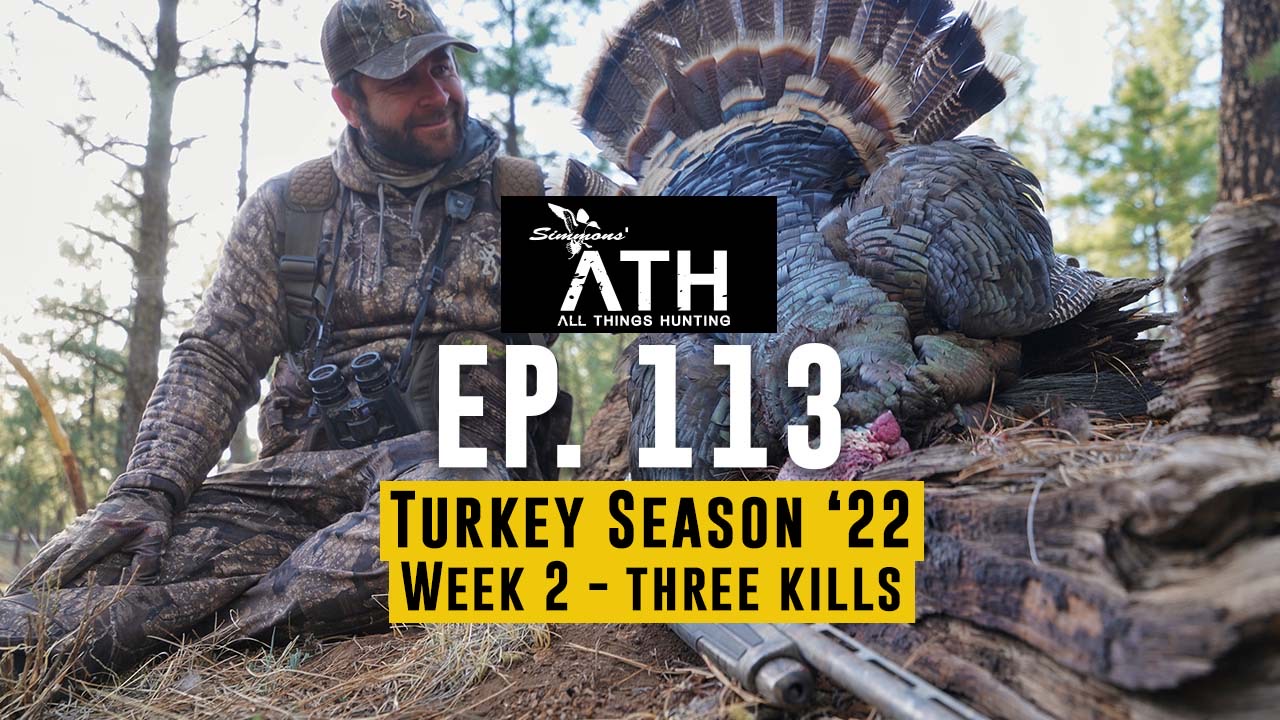 New Mexico Longbeards | Three Successful Hunts | All Things Hunting