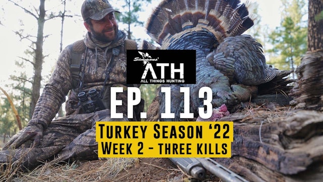 New Mexico Longbeards | Three Successful Hunts | All Things Hunting