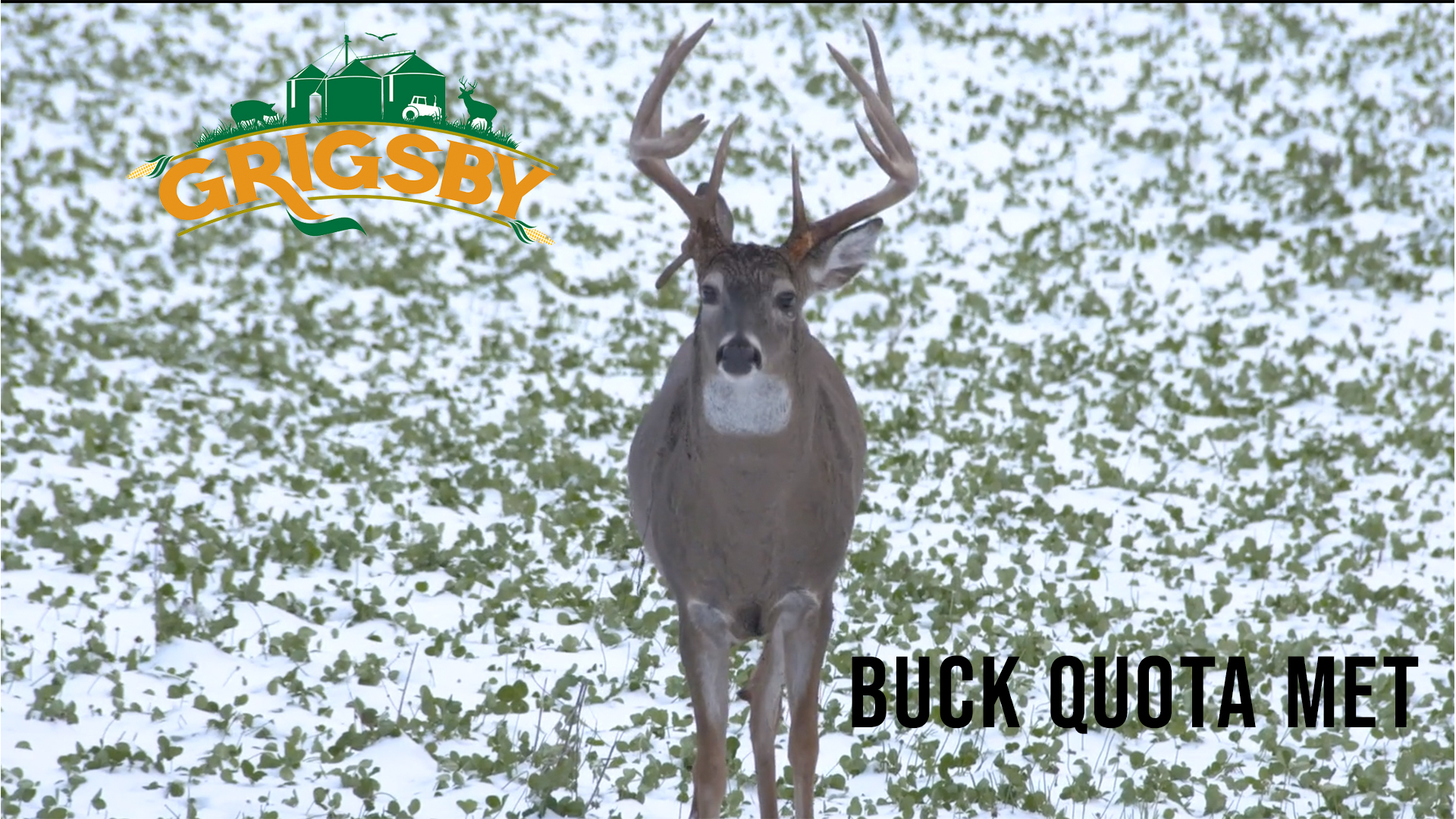 Grigsby Buck Quota Met