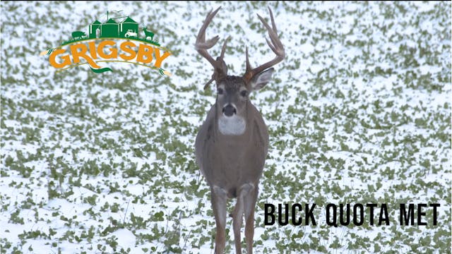 Grigsby Buck Quota Met