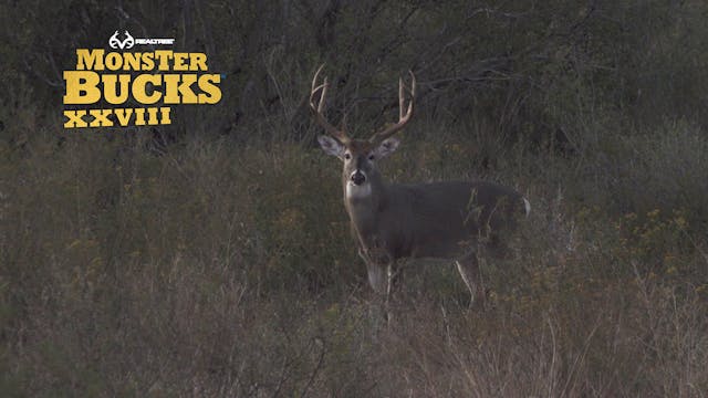 Colton Jordan's Tall Texas Buck | Rea...