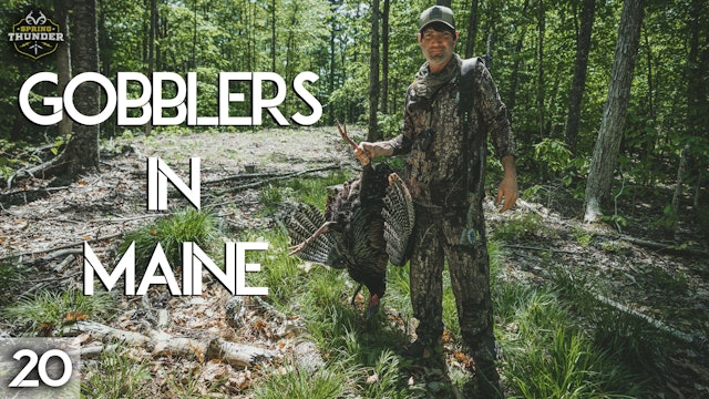 Maine Gobblers on the Ground | Last Leg of the Year | Spring Thunder