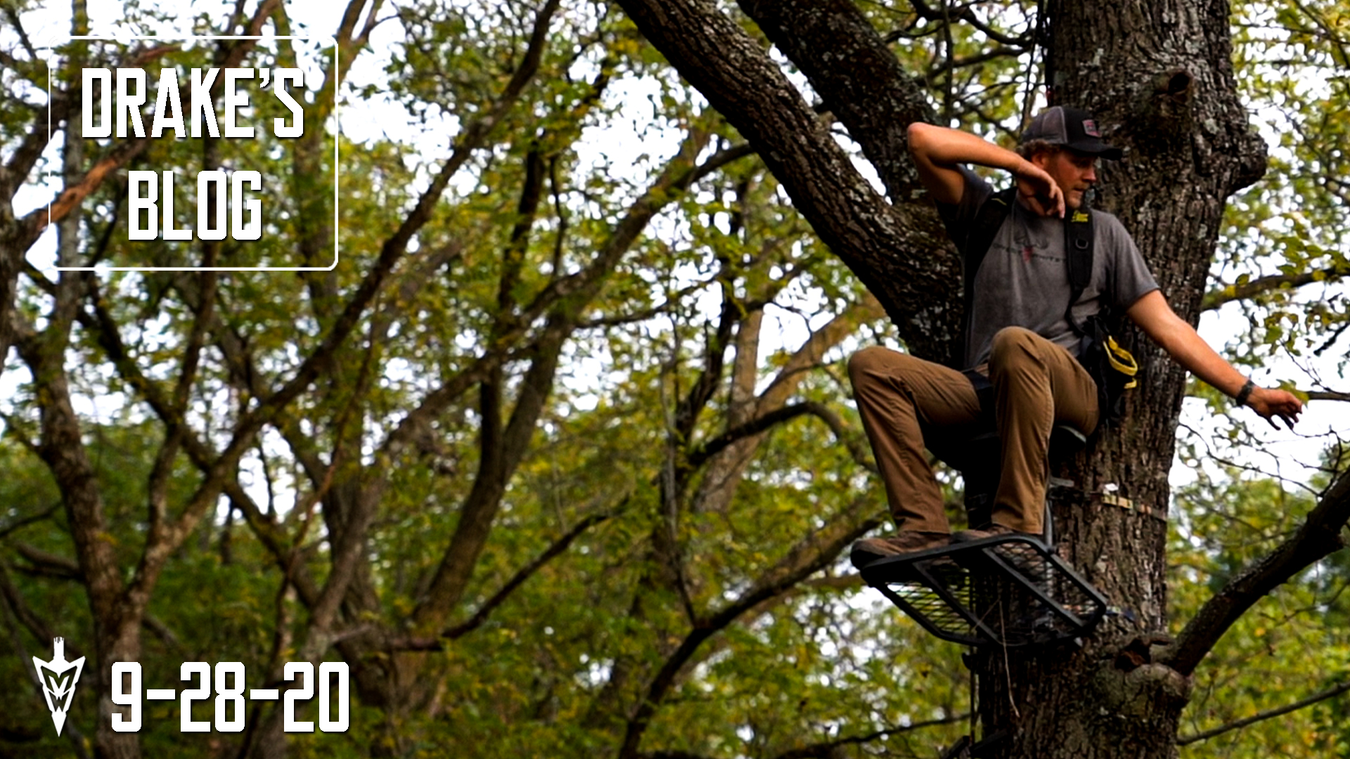 Drake's Blog: Treestand Placement Tips | Setting Up the Creek Bottom Farm