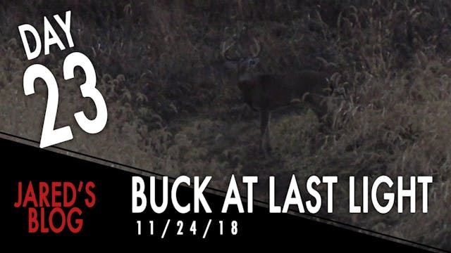 Jared's Blog: Rut Wind Down