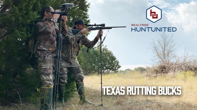 Rattling in Texas Rutting Bucks