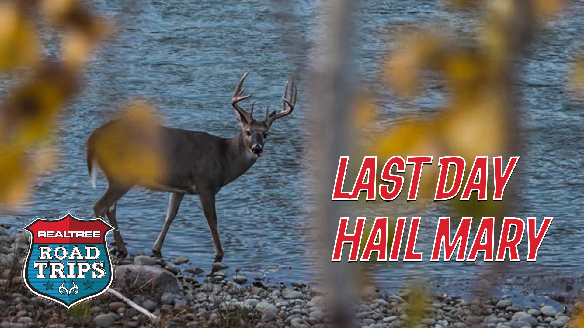Target Bucks Everywhere | A Last-Day Hail Mary | Realtree Road Trips