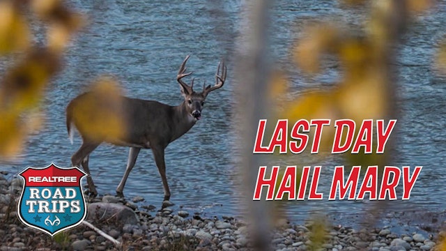 Target Bucks Everywhere | A Last-Day Hail Mary | Realtree Road Trips