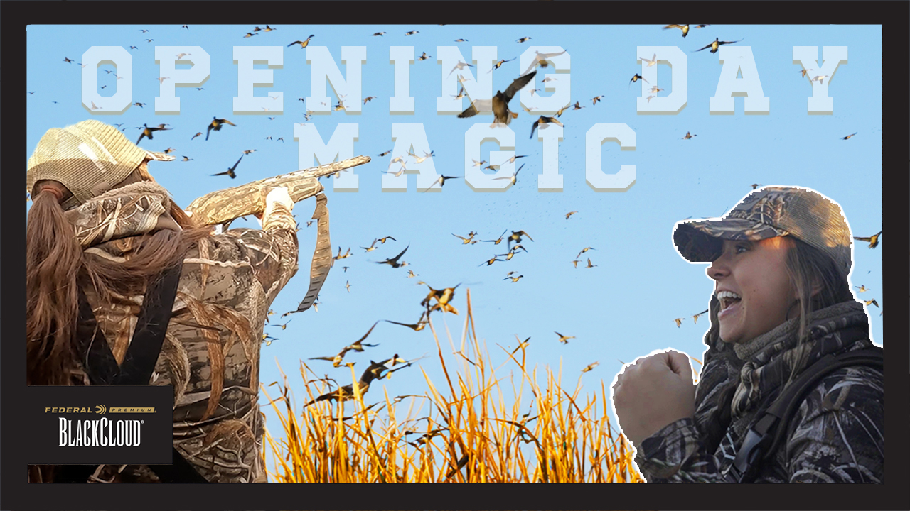 Pintails Fill the Sky! | More Ducks than we Expected!!! | Black Cloud