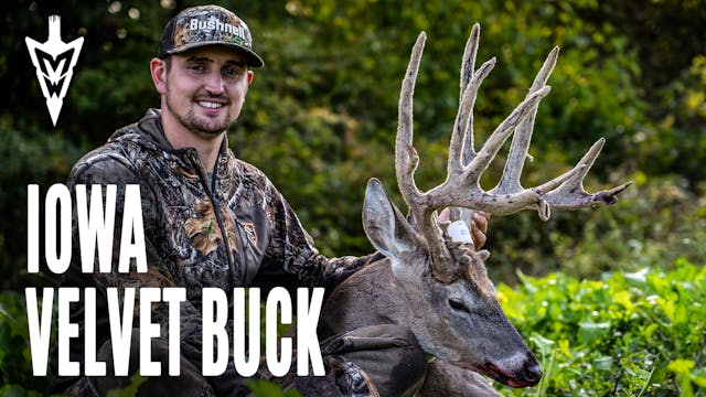 10-5-20: An Iowa Velvet Buck in Octob...