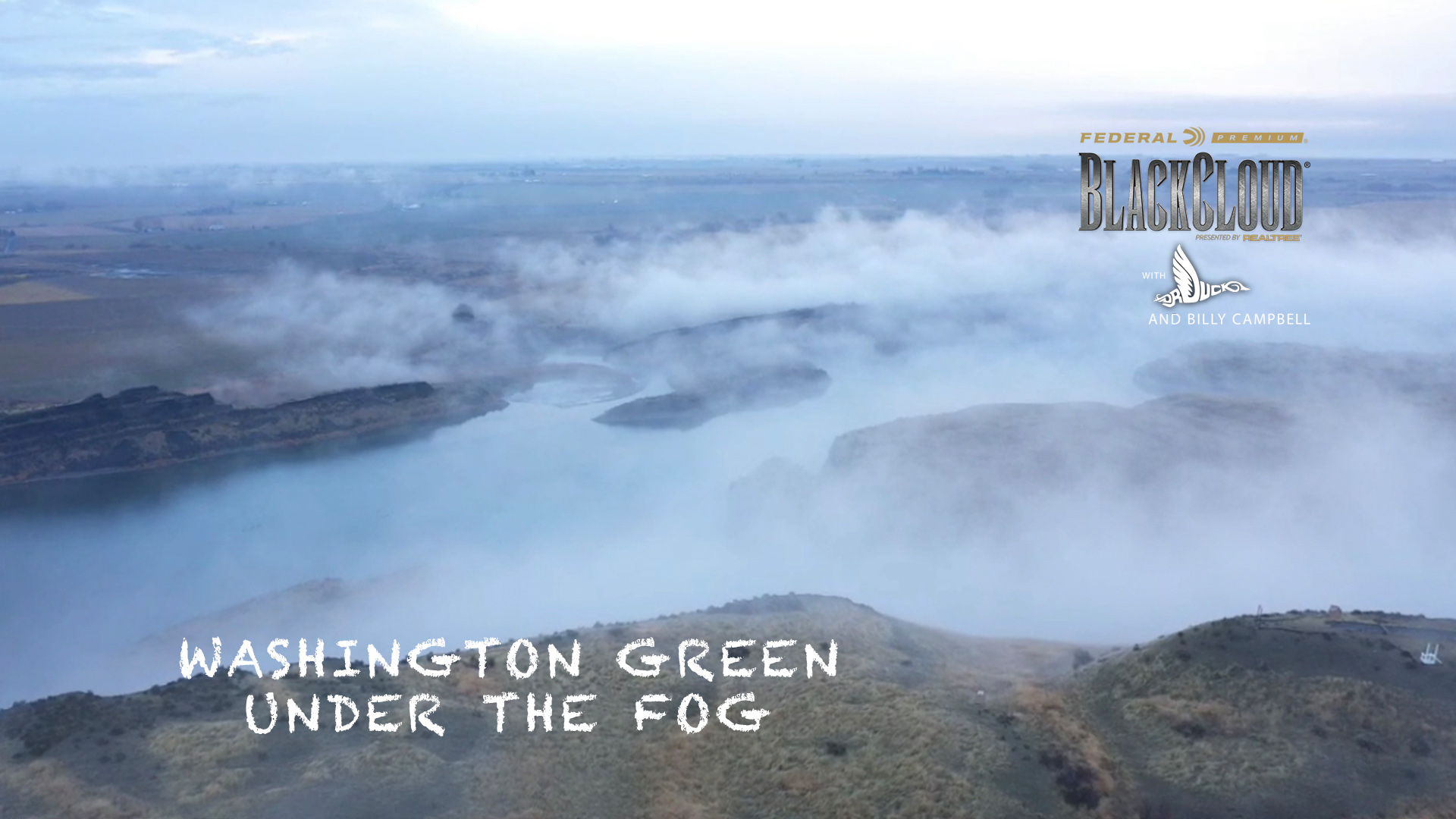Greenhead Delight: Shooting Mallards in the Fog