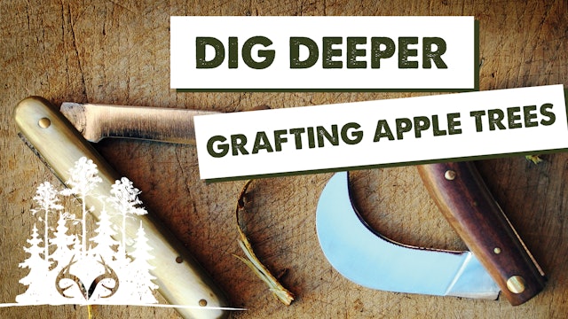 Dig Deeper: Grafting Apple Trees