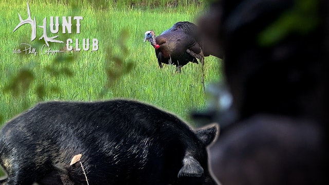The Queen Is Dead | 'Bama Birds and Hogs | Hunt Club