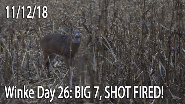 Winke Day 26: Big 7, Shot Fired!