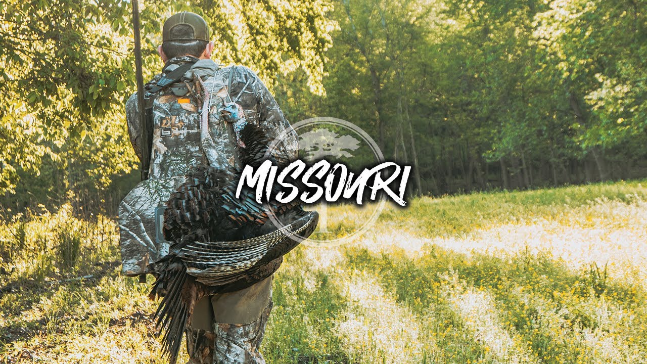 Turkey Hunting in the Hardwoods | Chasing Birds on New Lands | DayBreak Outdoors