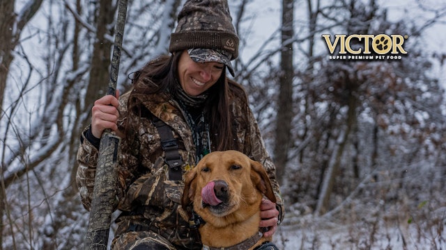 Meet Kip the Duck Dog | The Best Waterfowl Hunting Buddy | Fueled by VICTOR