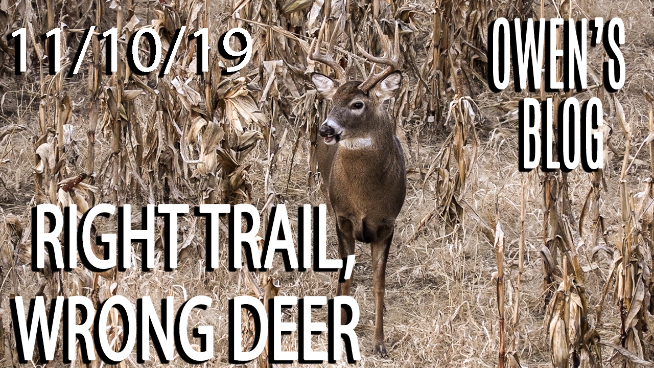Owen's Blog: Right Trail, Wrong Deer