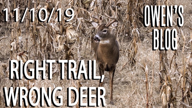 Owen's Blog: Right Trail, Wrong Deer