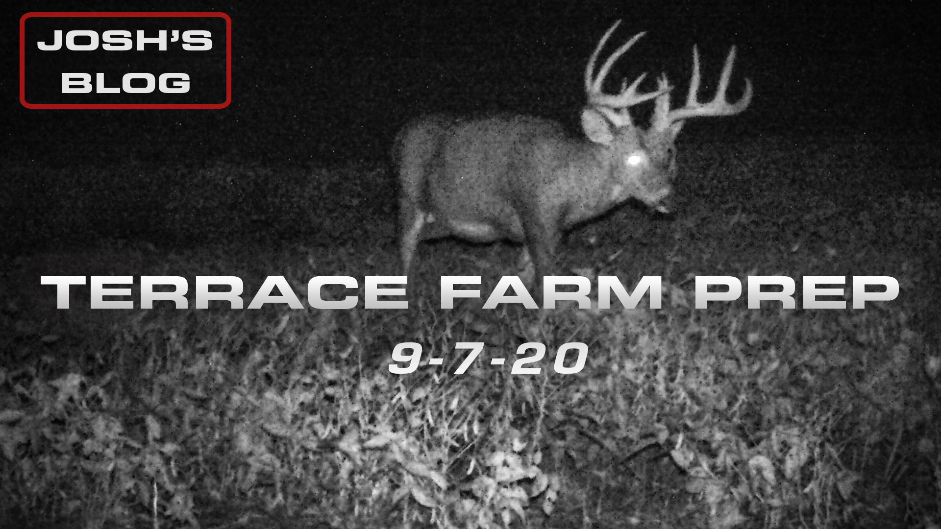 Josh's Blog | Final Terrace Farm Summer Prep | Bucks Are Shedding Their Velvet