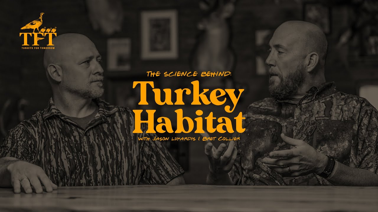 How to Create Good Turkey Habitat (with Turkeys for Tomorrow) | The Advantage