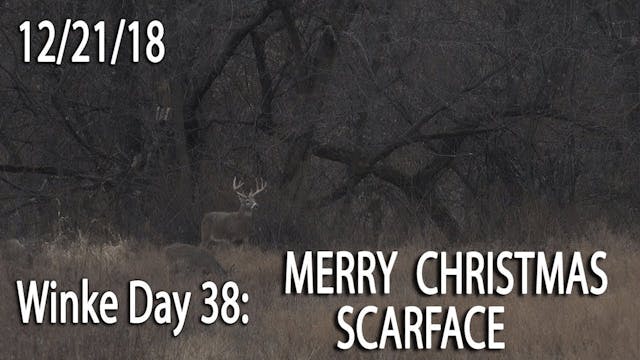 Winke Day 38: Merry Christmas Scarface