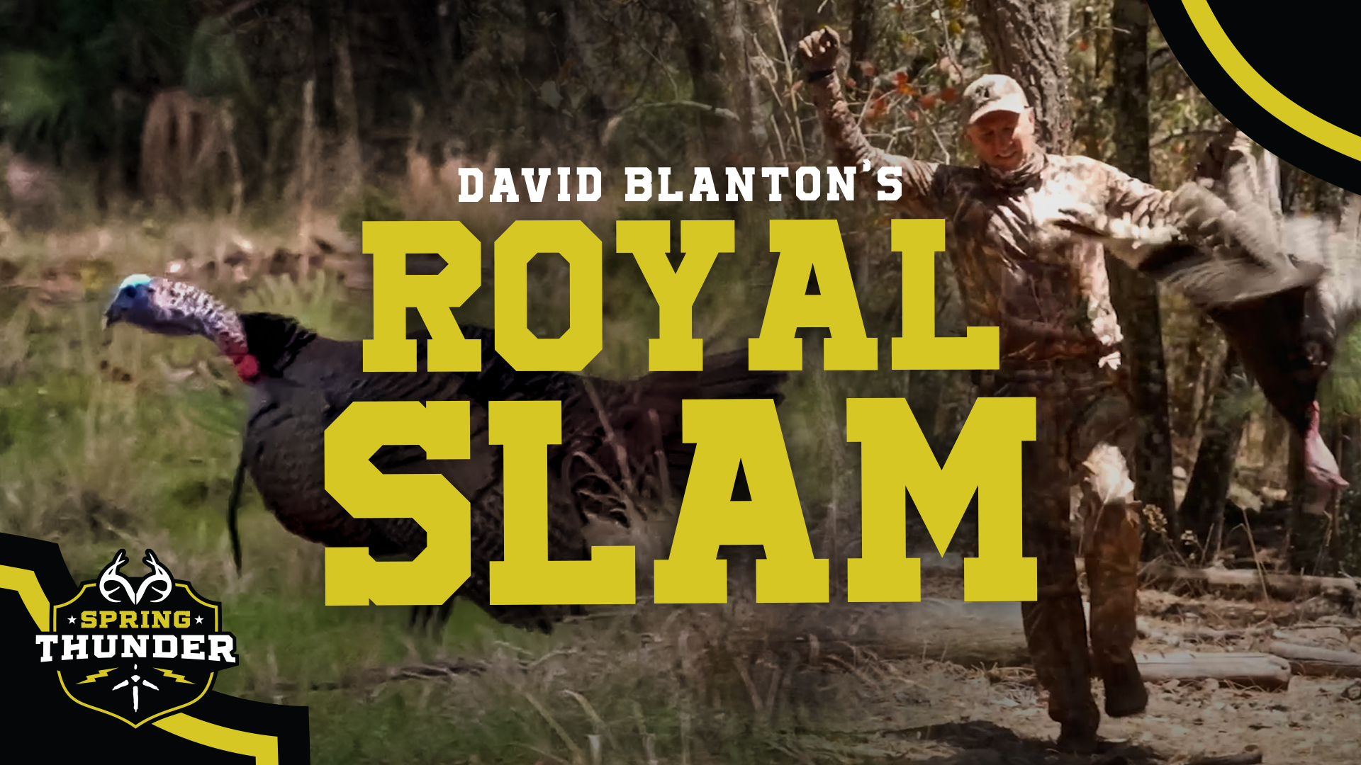 A Royal Wild Turkey Slam in One Season | Spring Thunder