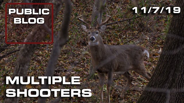 Public Land Blog | Multiple Shooters
